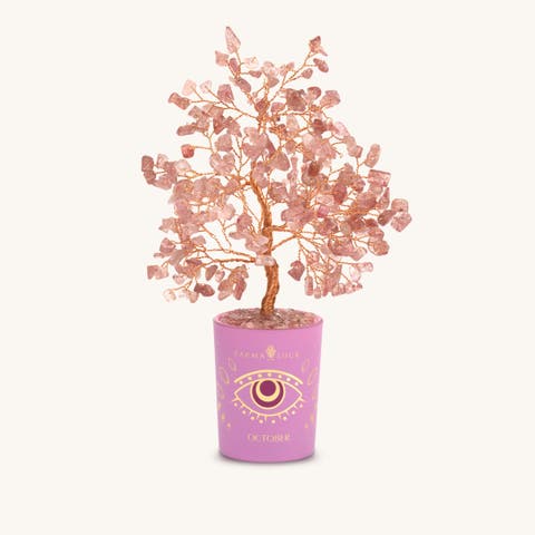 Tourmaline Feng Shui Crystal Tree of Life  October Birthstone Calming Presence