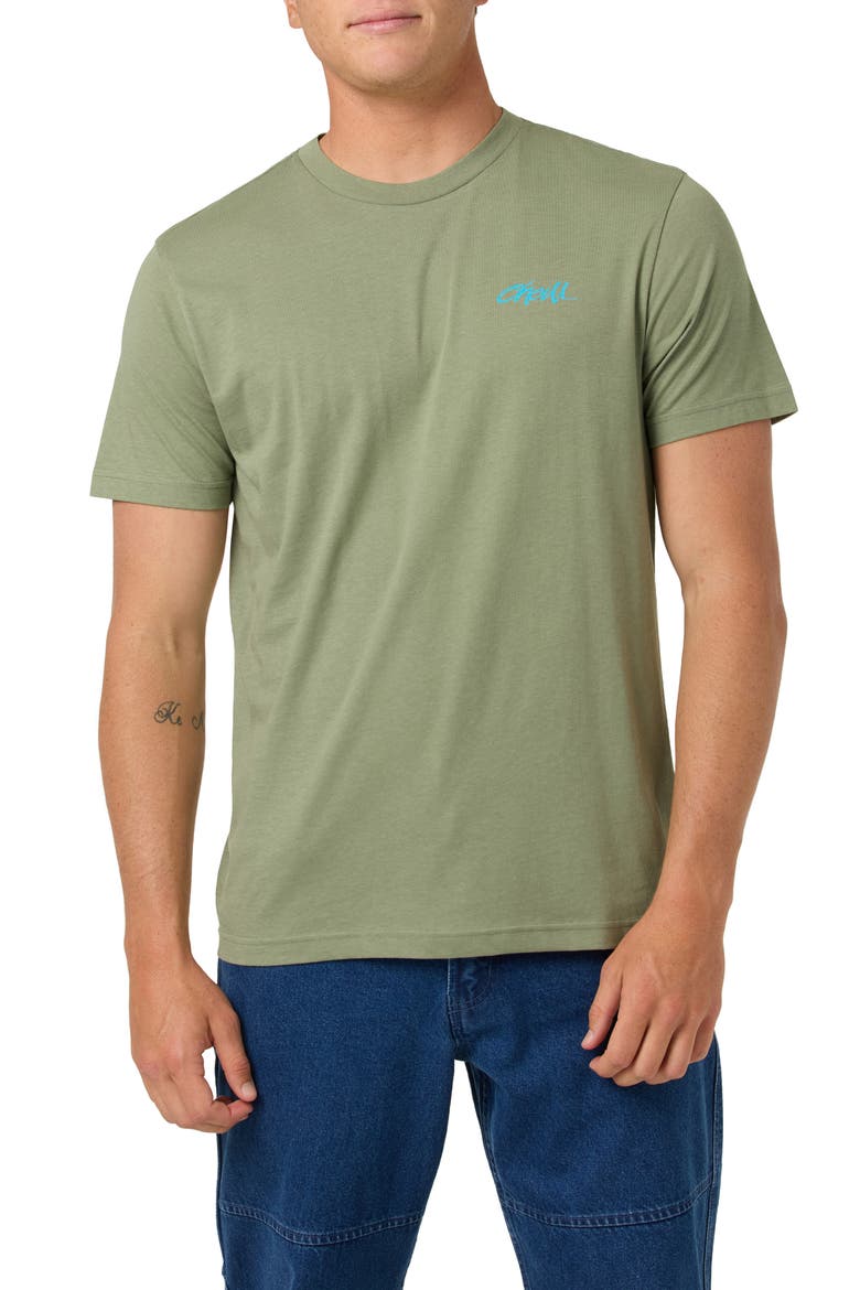 Tropics Classic Cotton Graphic T-Shirt, Main, color, SAGE