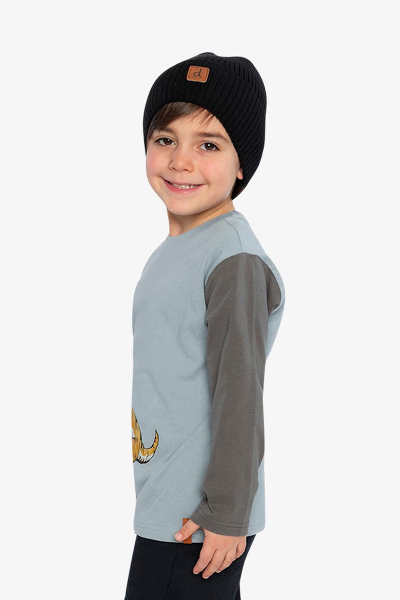 Organic Cotton Crew Neck Dino Graphic Long Sleeve T-Shirt, Alternate, color, Sky Blue