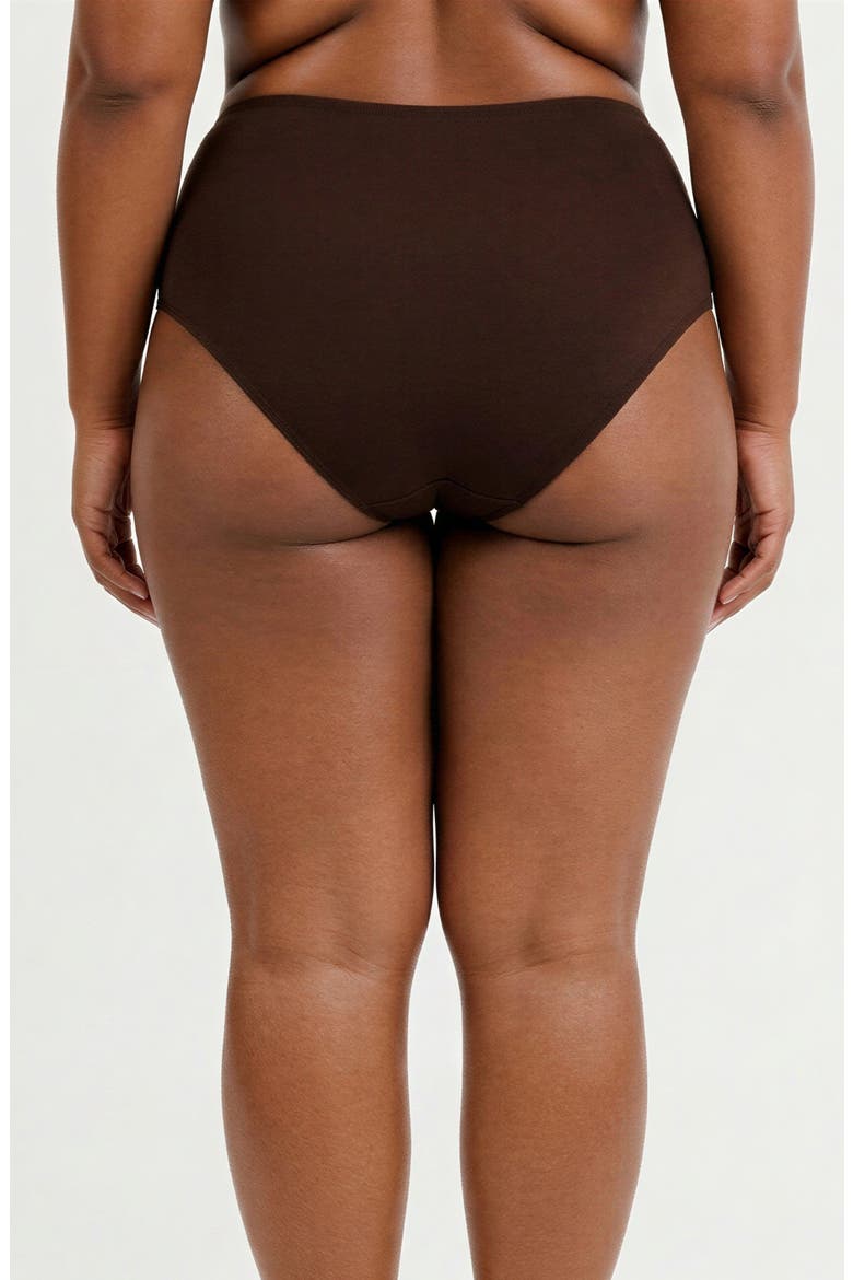 Plus Size High-Waisted Bikini Bottom, Alternate, color, Chocolate Brown