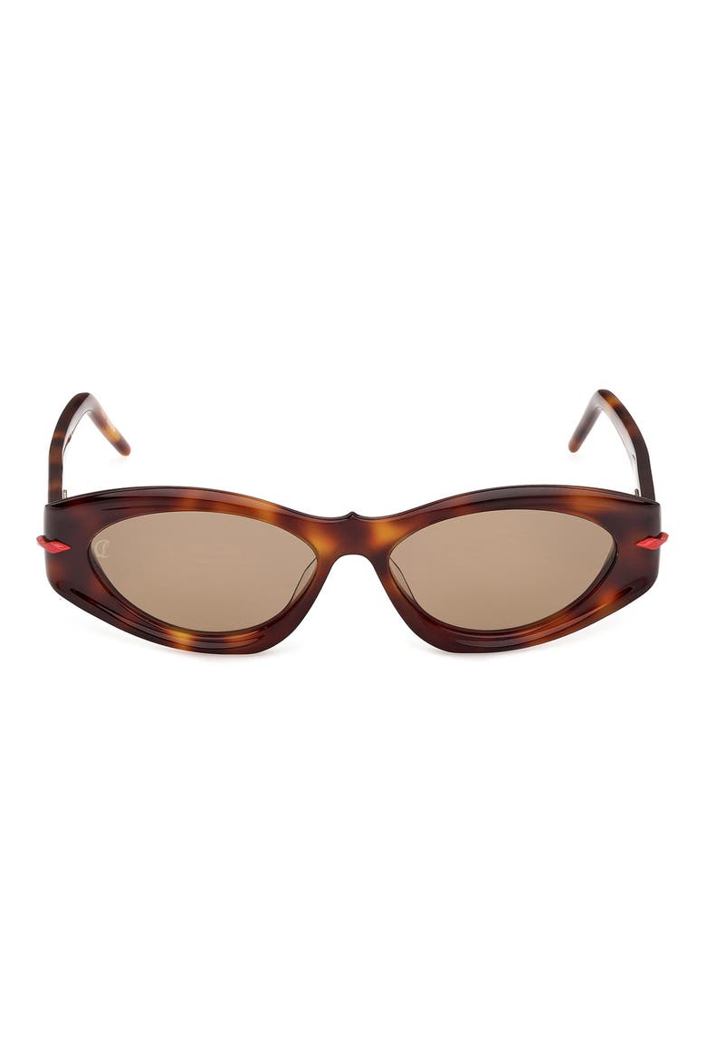 55mm Cat Eye Sunglasses, Main, color, CLASSIC HAVANA / GOLD / ZEISS