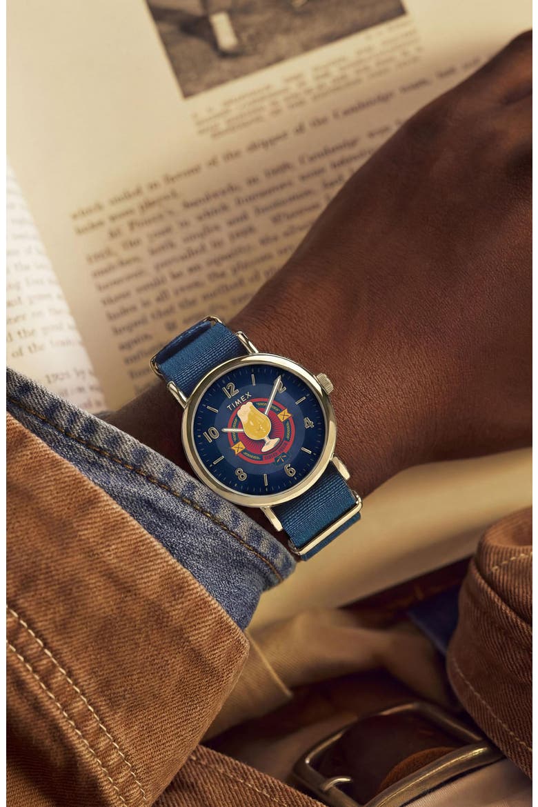 Harry Potter x Timex Weekender Butterbeer 40mm Fabric Strap Watch, Alternate, color, BLUE/ GOLD-TONE