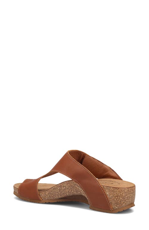 Taos Loop Toe Loop Sandal In Brown