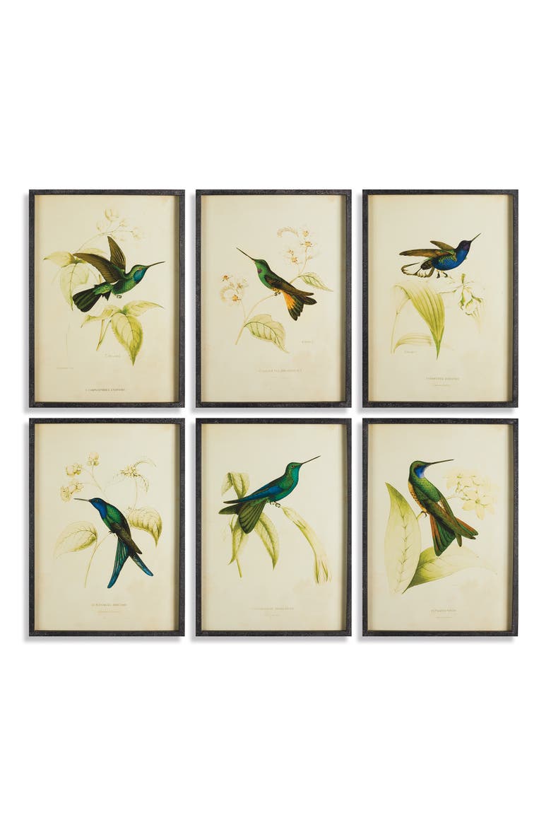 Hummingbird Prints Set of 6, Main, color, Black
