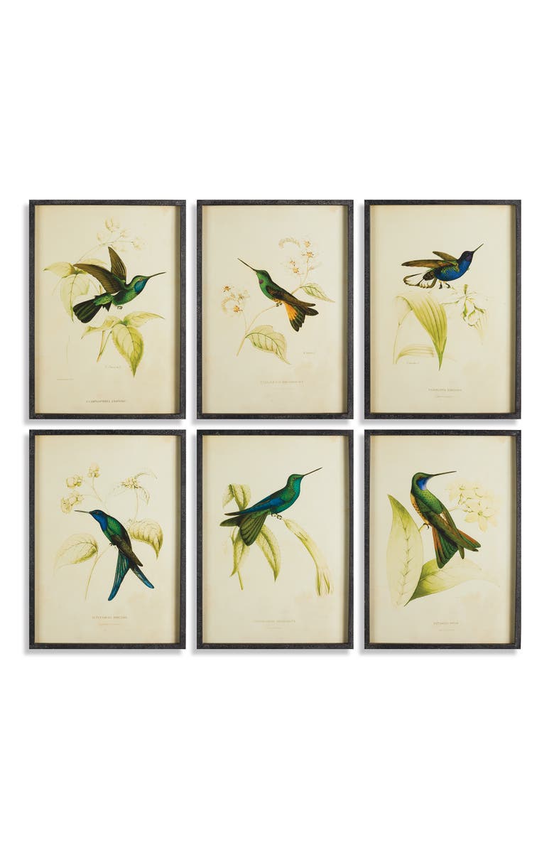 Napa Home & Garden Hummingbird Prints Set of 6, Main, color, 