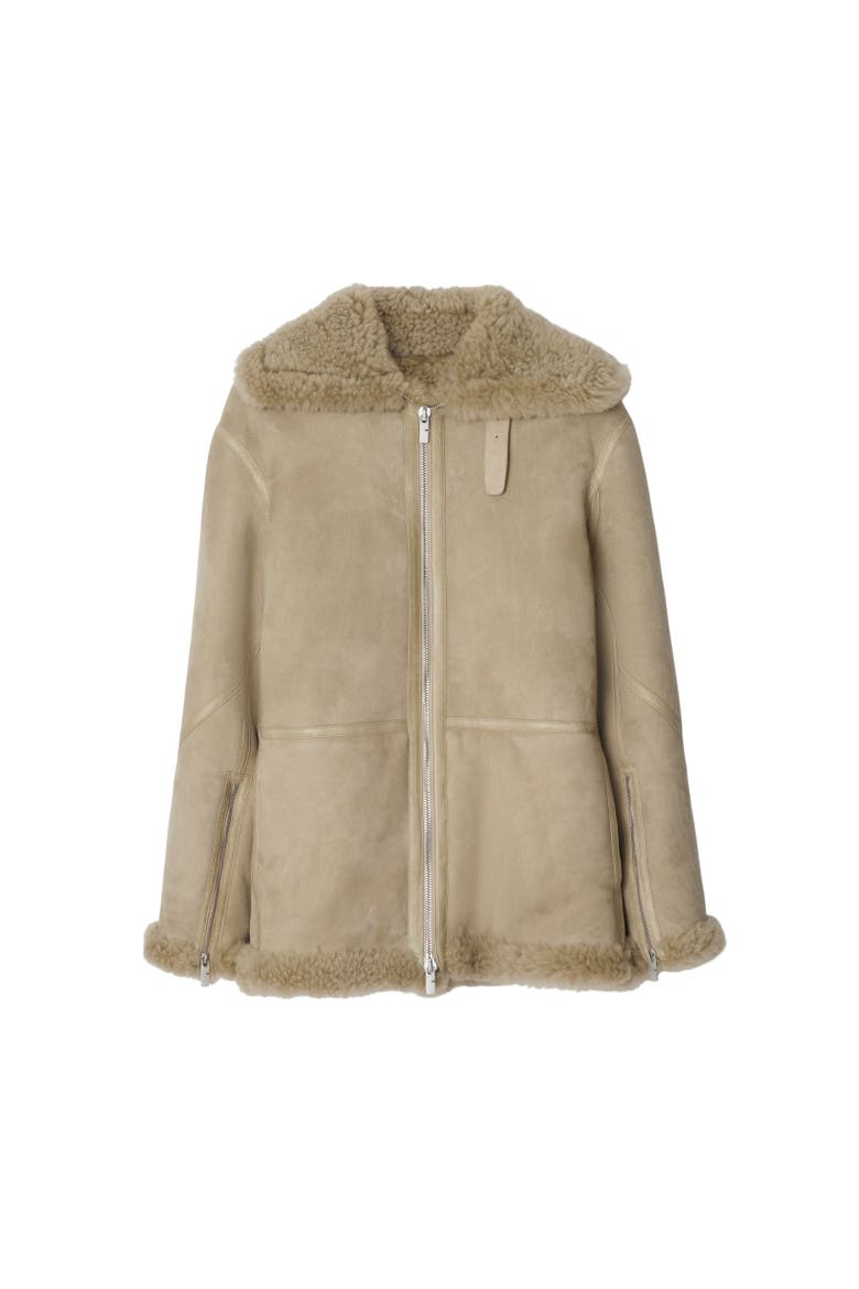 Shearling Aviator Jacket, Alternate, color, Field