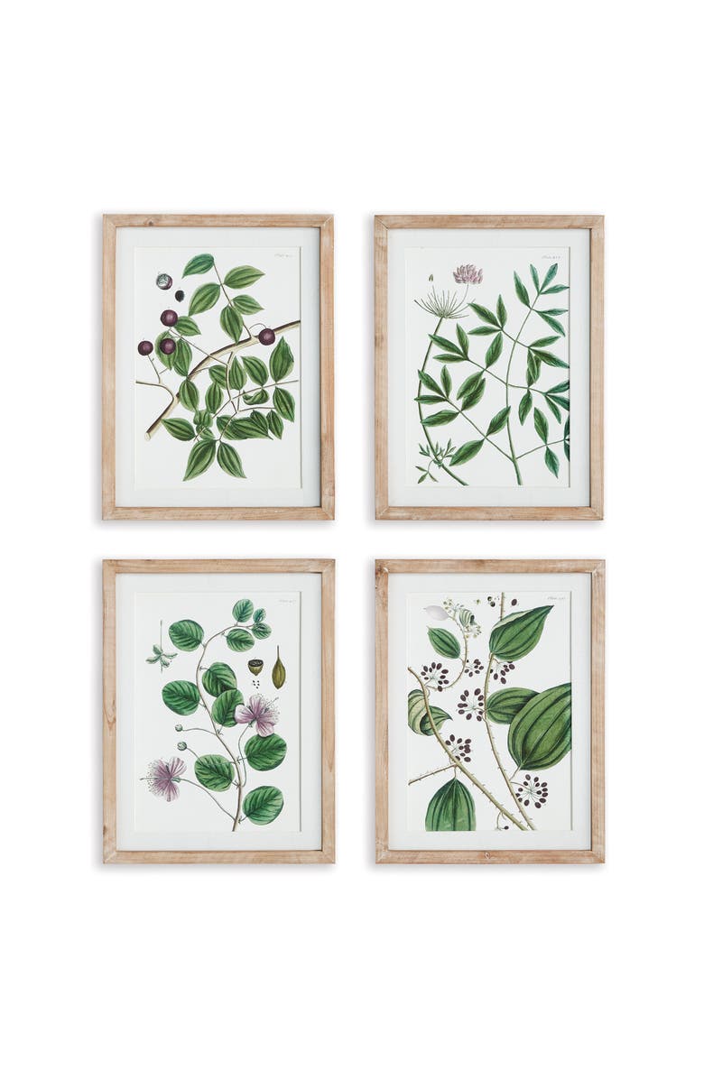 Napa Home & Garden Verdant Branch Prints Set of 4, Main, color, Green
