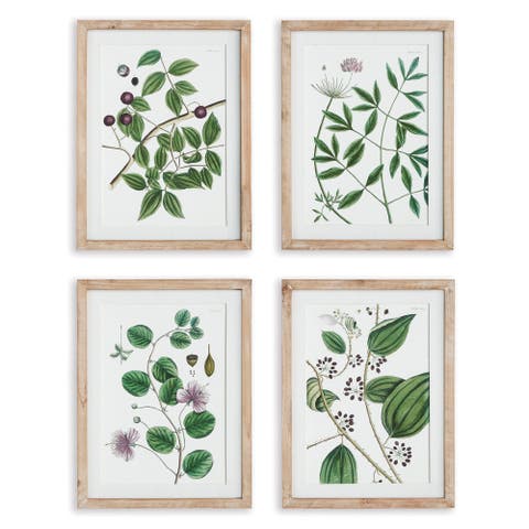 Verdant Branch Prints Set of 4