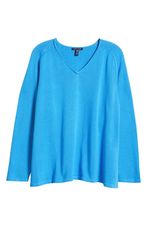 Eileen Fisher V-neck Sweater In Blue
