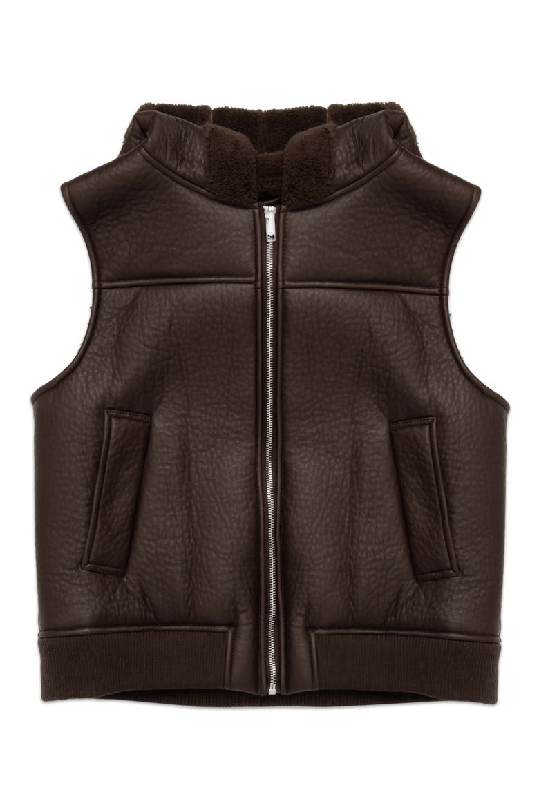 Brad Hooded Faux Shearling Vest, Alternate, color, CHOCOLATE