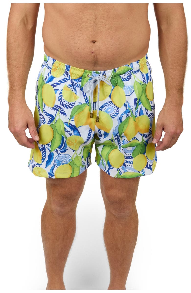 Kenny Flowers The Bossitano - Swim Trunks, Main, color, 