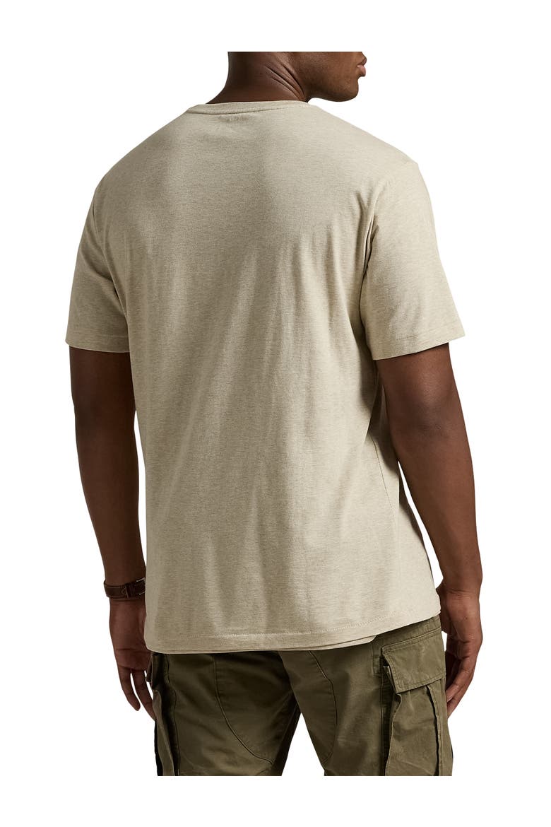 Big & Tall Classic Fit V-Neck T-Shirt, Alternate, color, DUNE HEATHER