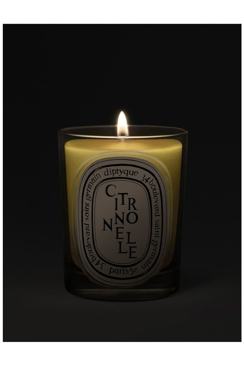 Citronelle (Lemongrass) Classic Candle, Alternate, color, NO COLOR