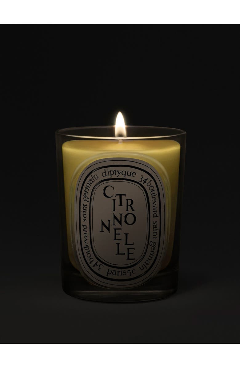 Diptyque Citronelle (Lemongrass) Classic Candle, Alternate, color, 