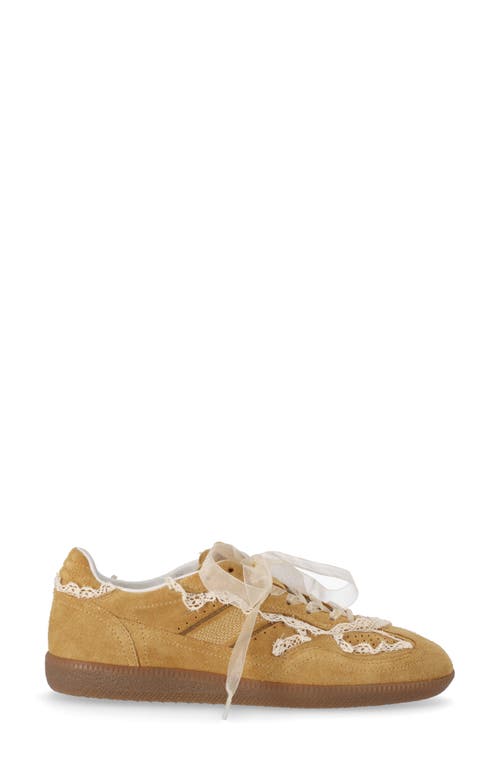Alohas Tb 490 Low-top Suede Sneakers With Lace Inserts