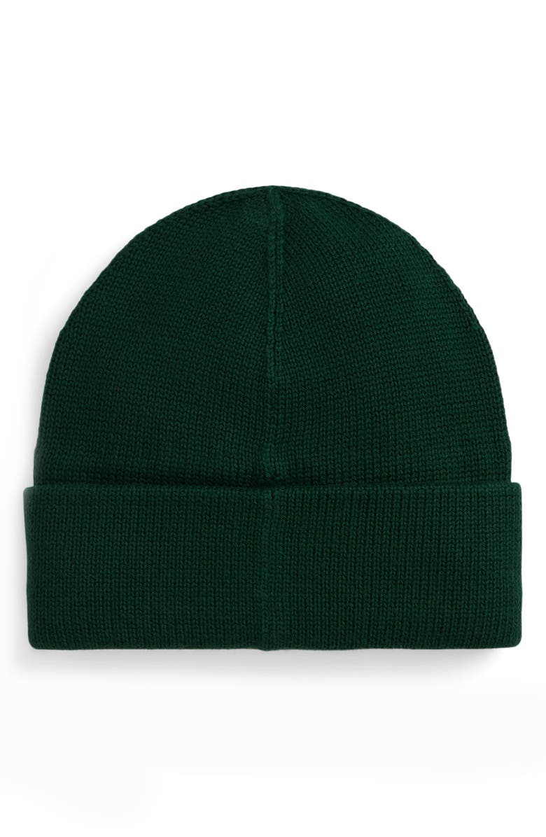 Polo Ralph Lauren Cotton Knit Beanie, Alternate, color, Moss Agate