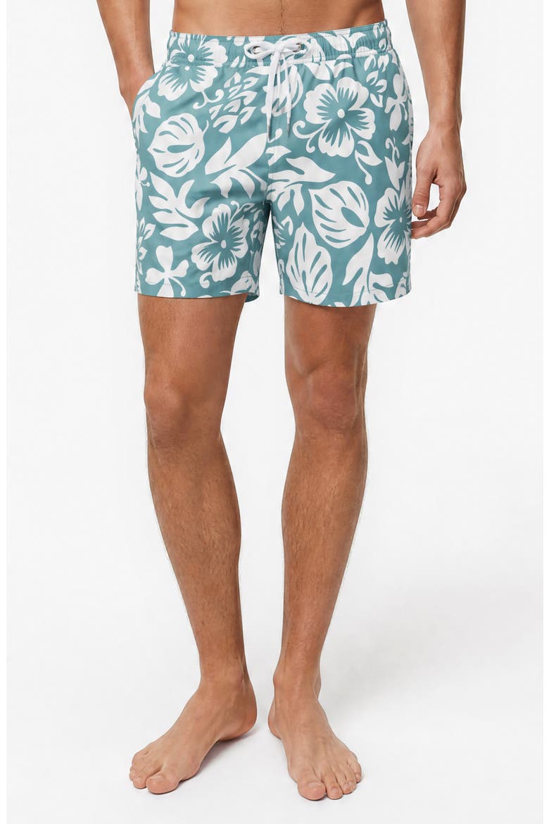 Stretch Volley Swim Trunks, Alternate, color, SAGE MULTI
