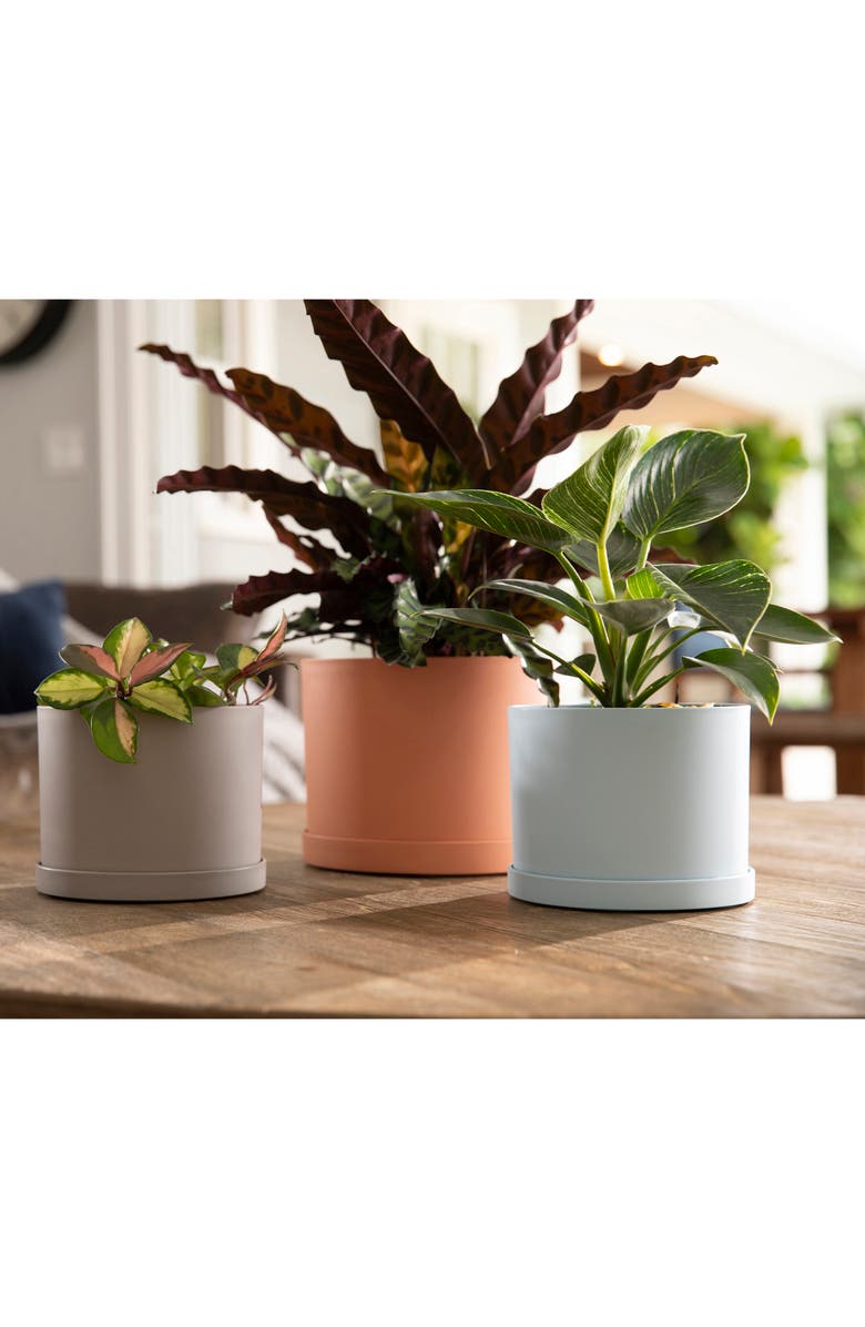 Bloem Mathers 6.5W x 8.5"H Gardening Planter with Saucer Tray, Muted Terra Cotta, Alternate, color,