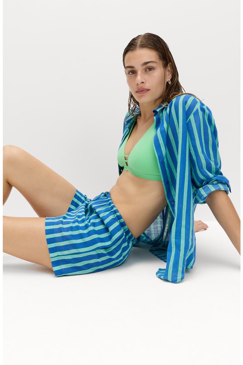 Stripe Cotton Shorts, Alternate, color, BLUE/ MULTI