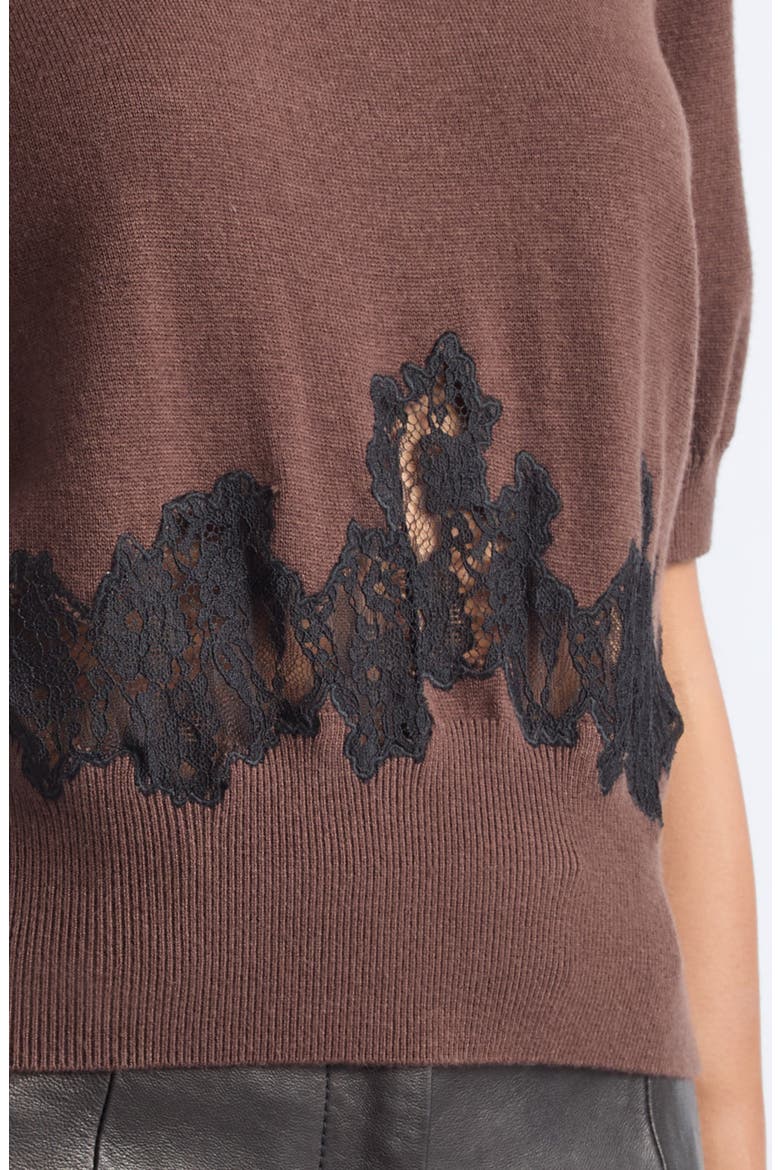 Vika Short Sleeve Merino Wool Sweater, Alternate, color, WALNUT/ JET