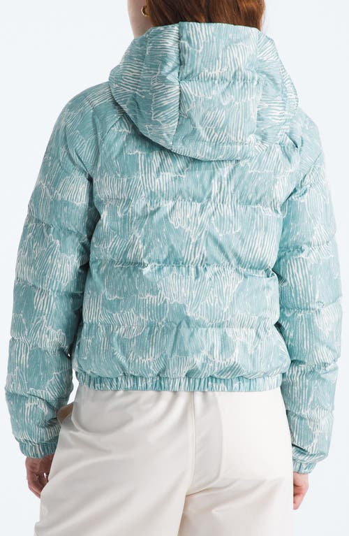 The North Face Hydrenalite 550-fill Power Down Hoodie In Blue