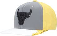 Mitchell & Ness Men's Mitchell & Ness Gray/Yellow Chicago Bulls Day 5 Snapback Hat