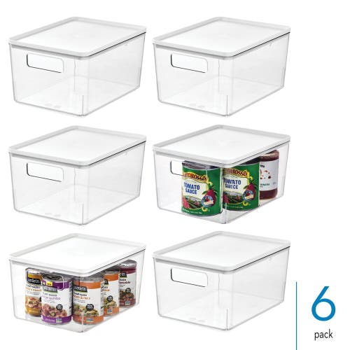 Basic Pantry Bin With Removable Lid In Transparent