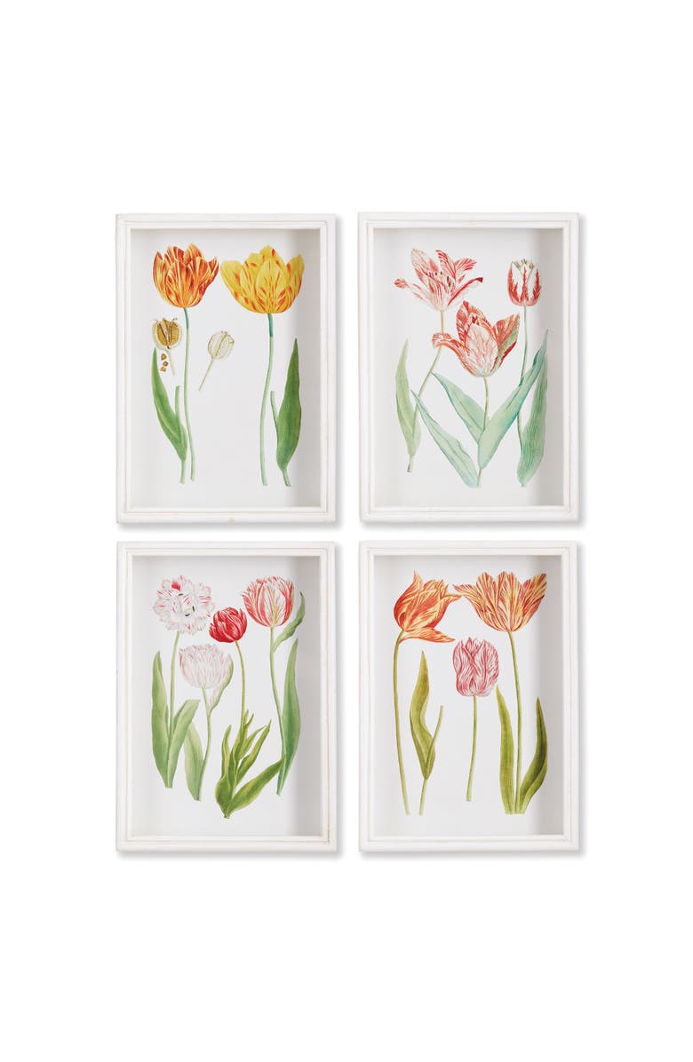 Napa Home & Garden Tulip Prints Set of 4, Main, color, Green