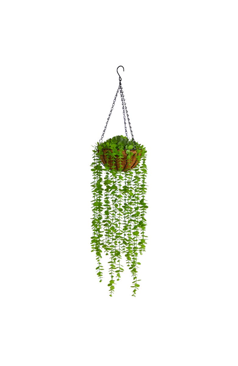 NEARLY NATURAL 3-ft Eucalyptus Artificial Plant in Hanging Basket, Main, color, Green