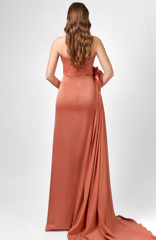 Bariano Amelia Strapless Rose Gown In Pink