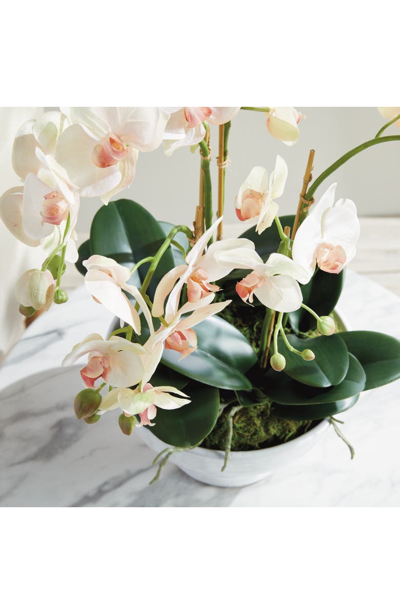 Napa Home & Garden Phalaenopsis Orchid Bowl Artificial Plant Drop-In, Alternate, color, Pink