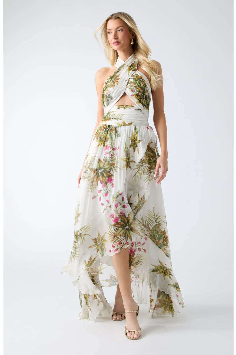 Hassana Floral Print Halter Maxi Dress, Alternate, color, WHITE MULTI