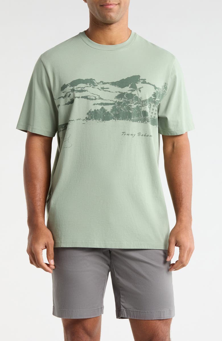 Tommy Bahama Vacation Visions Cotton Graphic T-Shirt, Main, color, Oxidize Metal