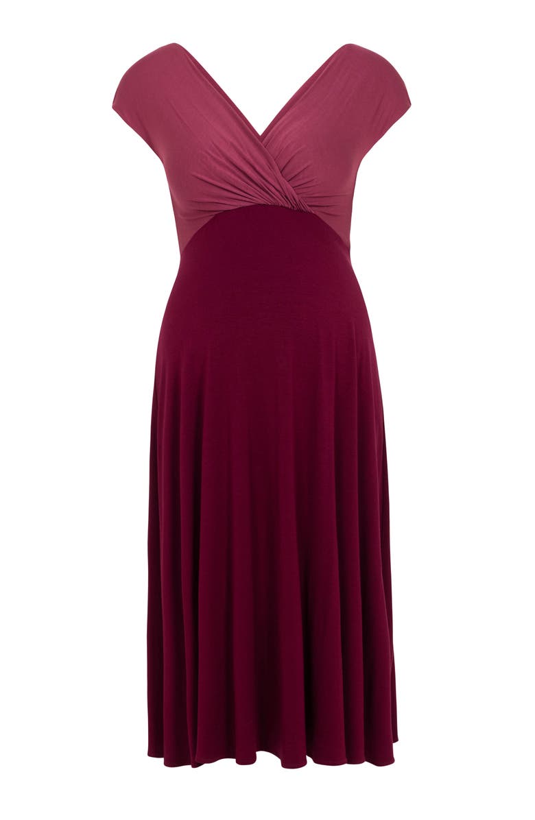 Tiffany Rose Maternity Alessandra Maternity Dress, Alternate, color, Rosey Red