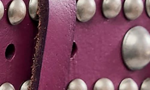 Free People We The Free Sola Studded Leather Belt In Brown