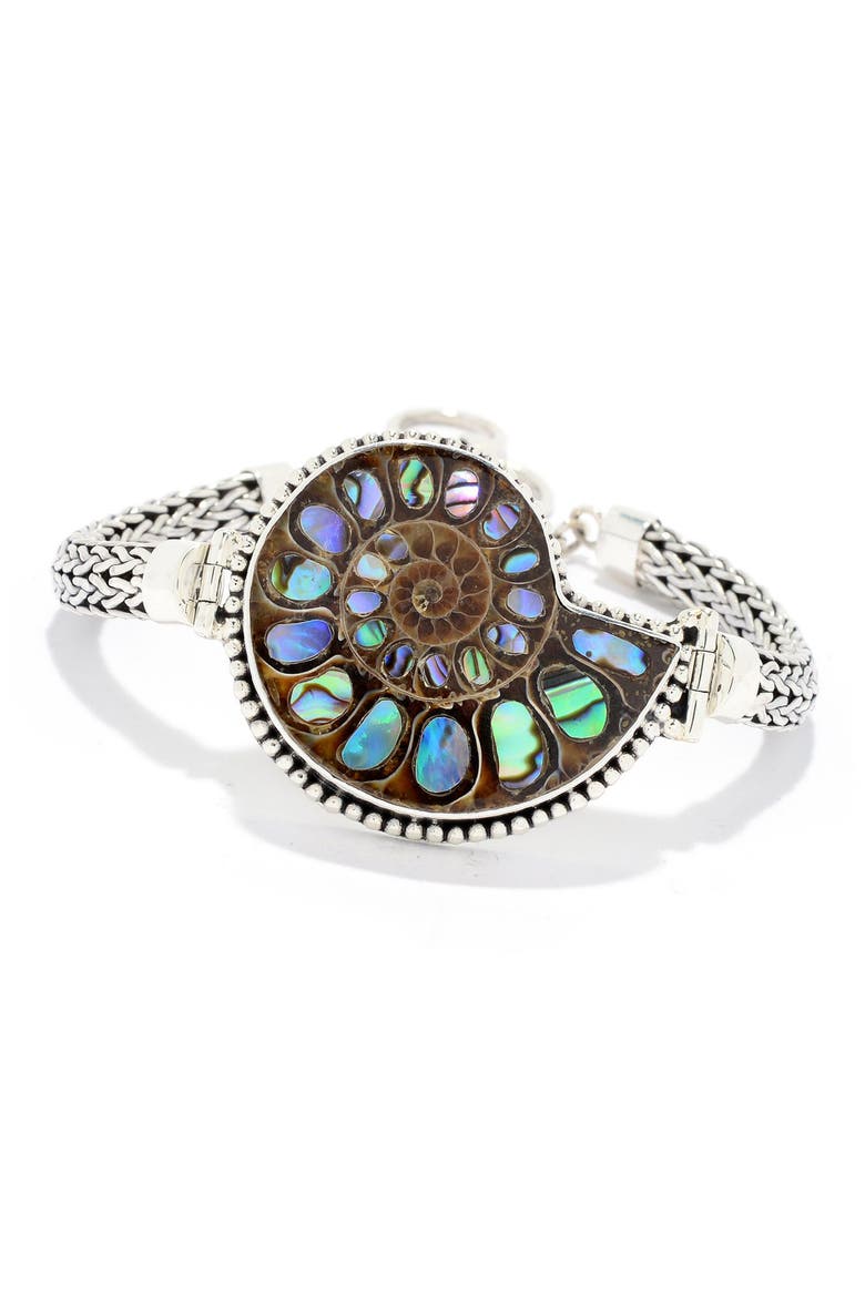 Abalone Fossil Chain Bracelet, Main, color, SILVER MULTI
