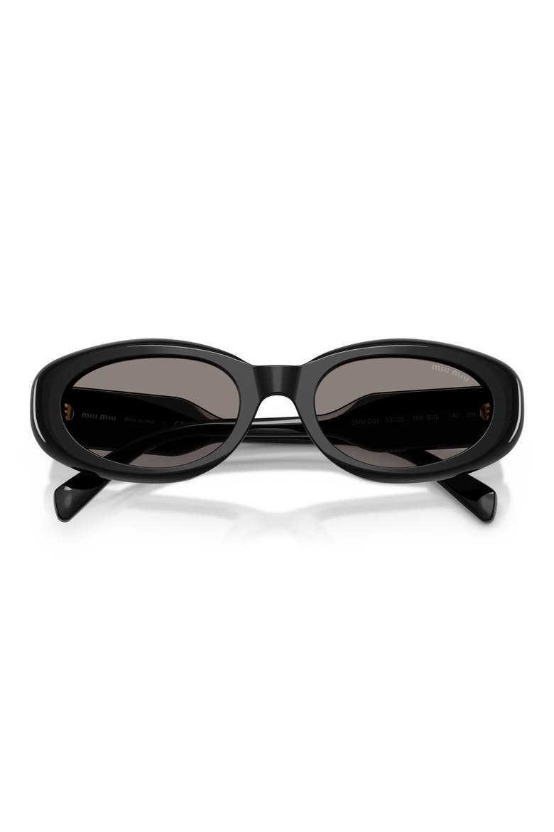 53mm Oval Sunglasses, Alternate, color, BLACK / DARK GREY