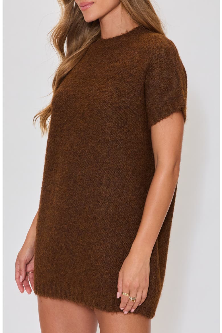 Hot Coco Sweater Minidress, Alternate, color, BROWN