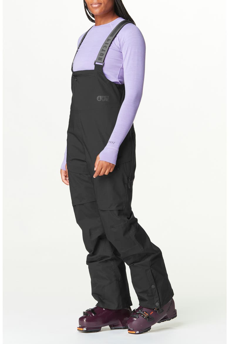 Elwy Waterproof Insulated Snow Bib, Alternate, color, BLACK
