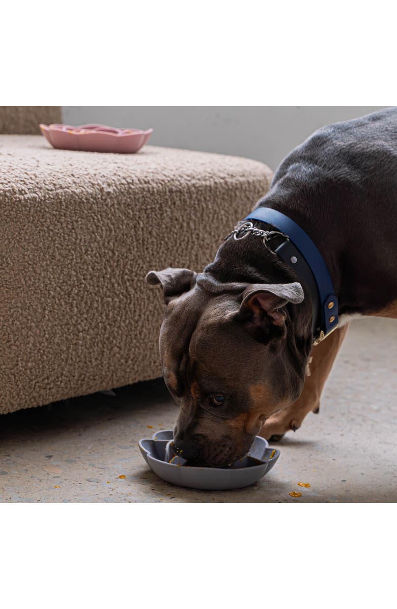 Dexypaws Slow Feeder, Alternate, color, Gray