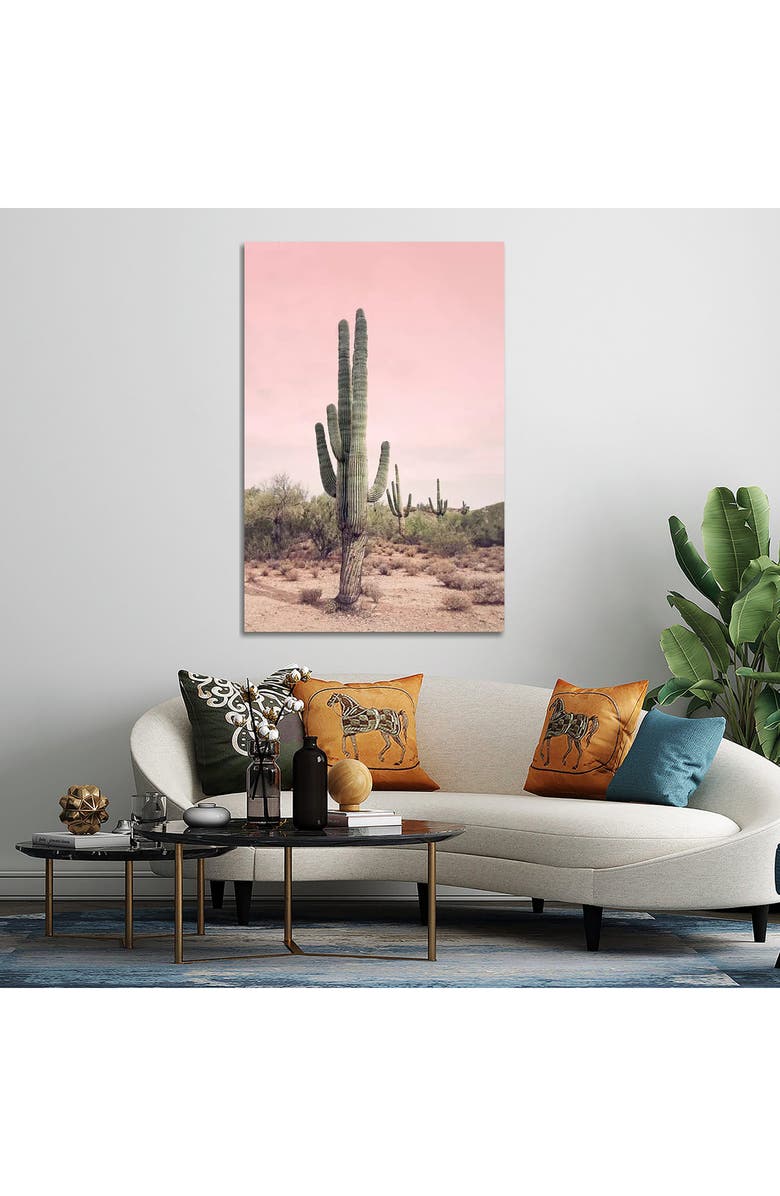 iCanvas Cactus Photography Canvas Print, Alternate, color, Pink Multi
