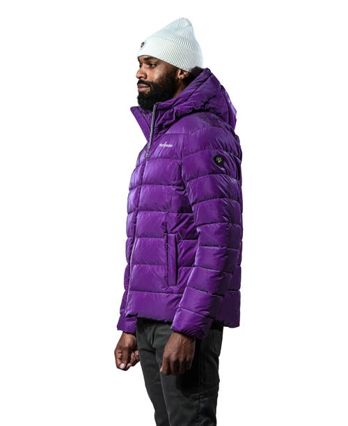 Woodpecker Sparrow Medium Weight Coat In Purple
