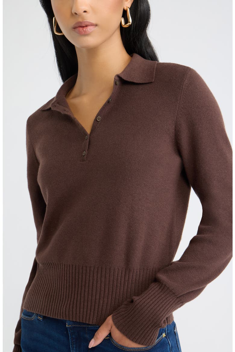 Long Sleeve Polo Sweater, Alternate, color, BROWN SEAL