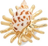 EYE CANDY LOS ANGELES Emina Shell Statement Ring