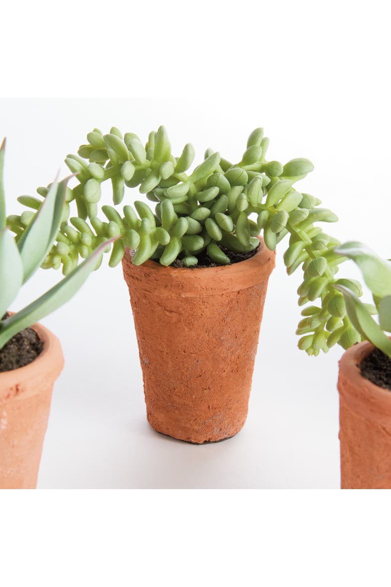 Potted Green Ceramic Succulents 8.5" Set of 6, Alternate, color, Green
