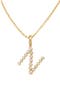  Gold Vermeil Initial N