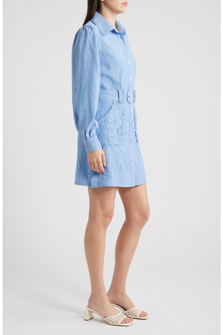 Vivian Lace Trim Shirtdress, Alternate, color, BLUE