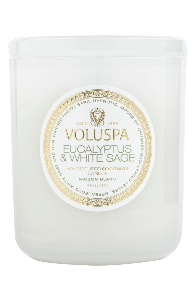 Voluspa Eucalyptus & White Sage Boxed Classic Candle, Alternate, color, Eucalyptus