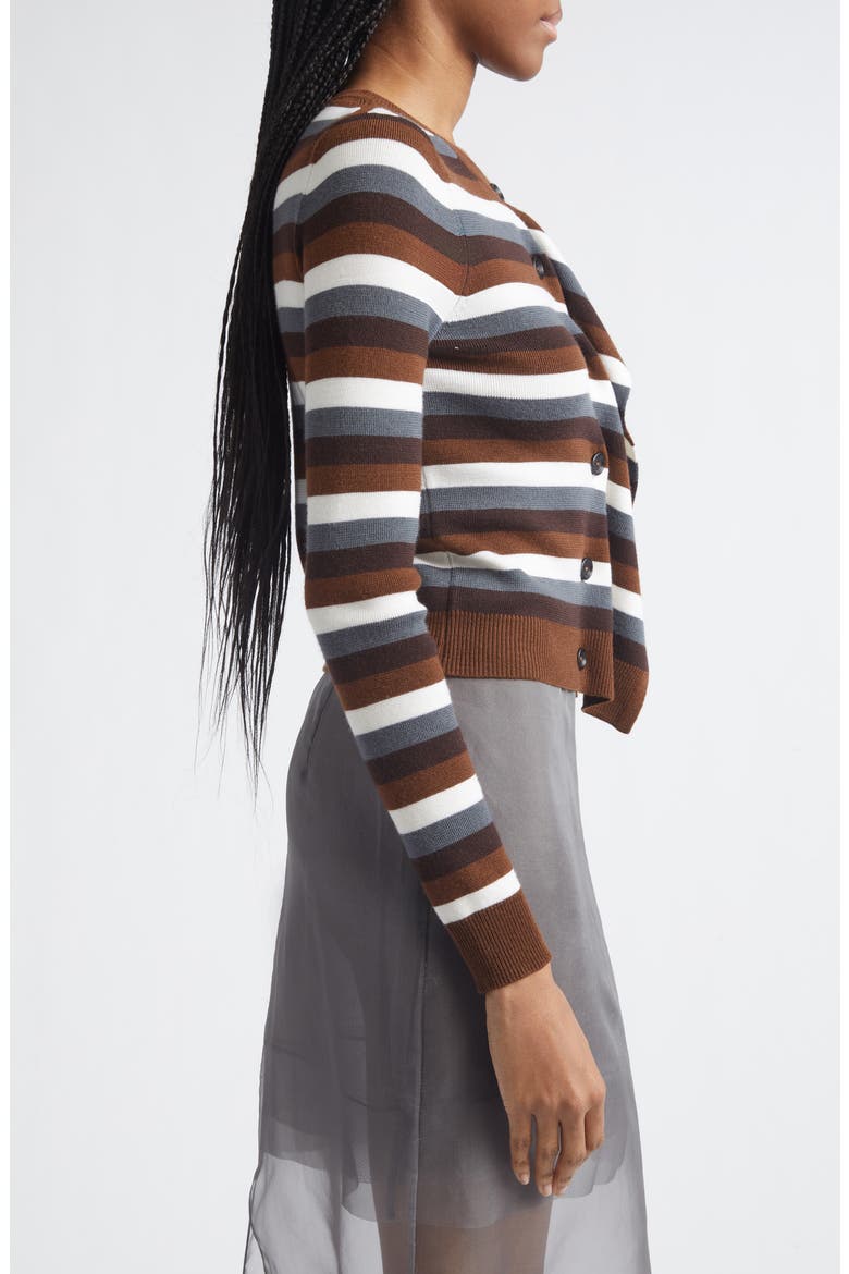 Stripe Front Cascade Merino Wool Cardigan, Alternate, color, BROWN MULTI