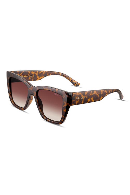 Velvet Eyewear Marsha Sunglasses In Tortoise